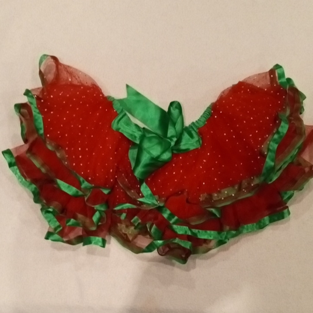 Hobby Lobby Festive Red and Green Tutu Skirt